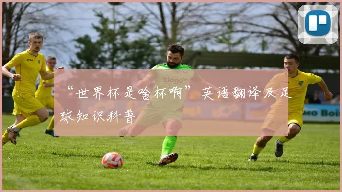 “世界杯是啥杯啊”英语翻译及足球知识科普