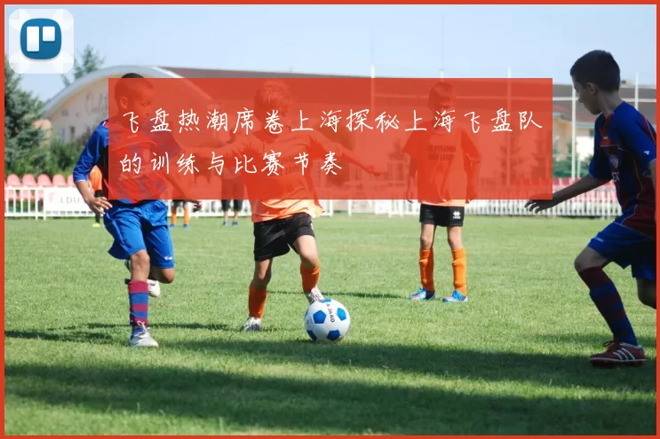 飞盘热潮席卷上海探秘上海飞盘队的训练与比赛节奏