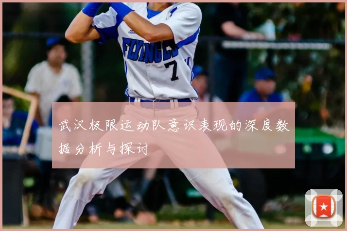 武汉极限运动队意识表现的深度数据分析与探讨