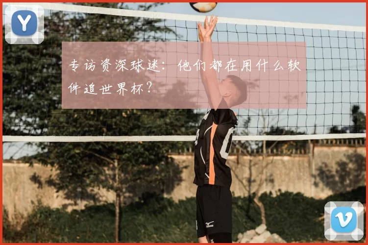 专访资深球迷：他们都在用什么软件追世界杯？