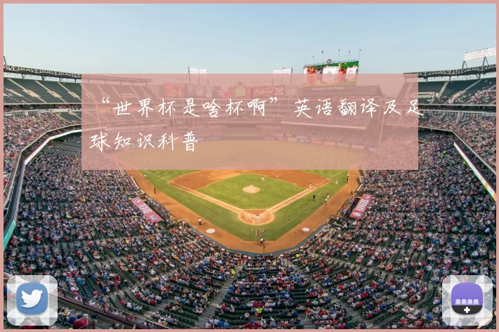 “世界杯是啥杯啊”英语翻译及足球知识科普