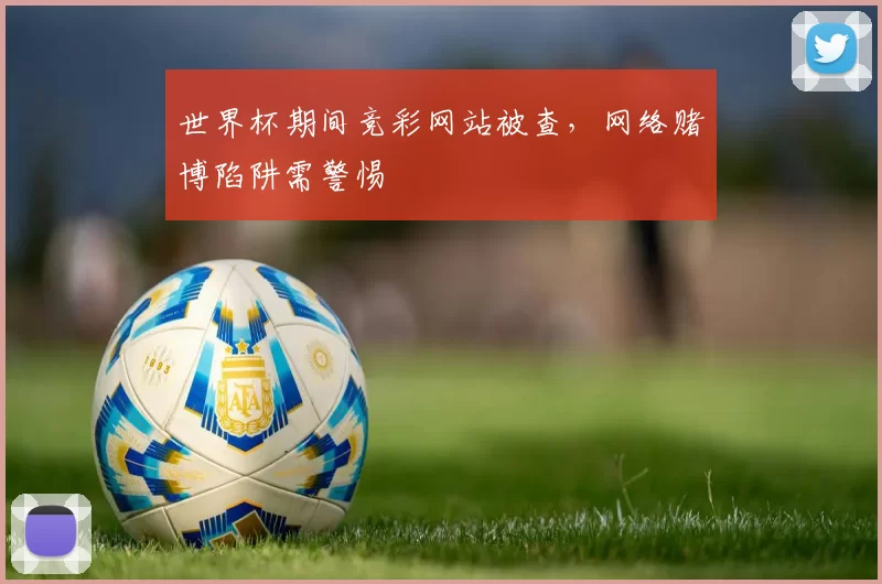 世界杯期间竞彩网站被查，网络赌博陷阱需警惕