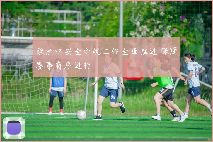 欧洲杯安全合规工作全面推进 保障赛事有序进行