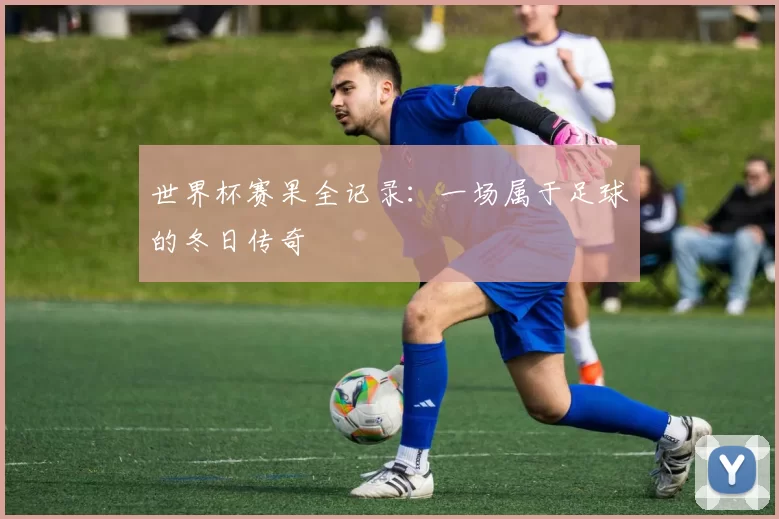 世界杯赛果全记录:一场属于足球的冬日传奇