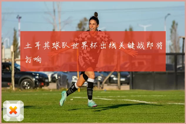 土耳其球队世界杯出线关键战即将打响
