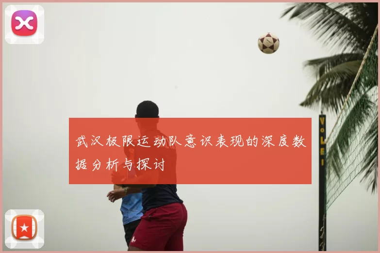 武汉极限运动队意识表现的深度数据分析与探讨