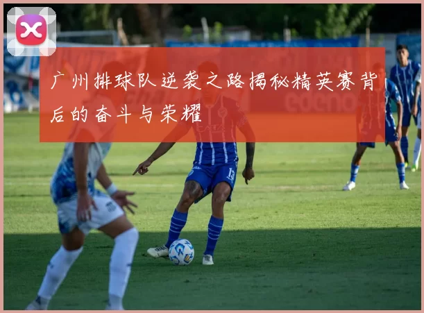 广州排球队逆袭之路揭秘精英赛背后的奋斗与荣耀