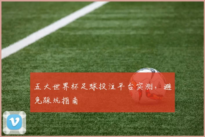 五大世界杯足球投注平台实测，避免踩坑指南