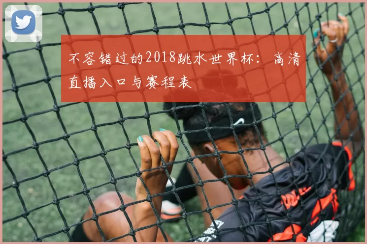 不容错过的2018跳水世界杯：高清直播入口与赛程表