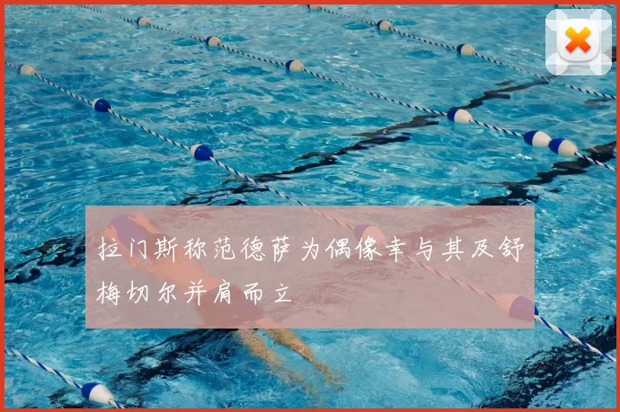 拉门斯称范德萨为偶像幸与其及舒梅切尔并肩而立